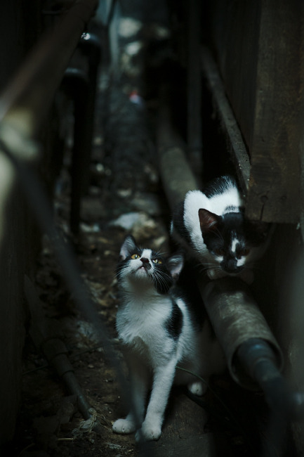 爱游戏-中国男篮强化一对一防守巩固外线强度，中国男篮对阵