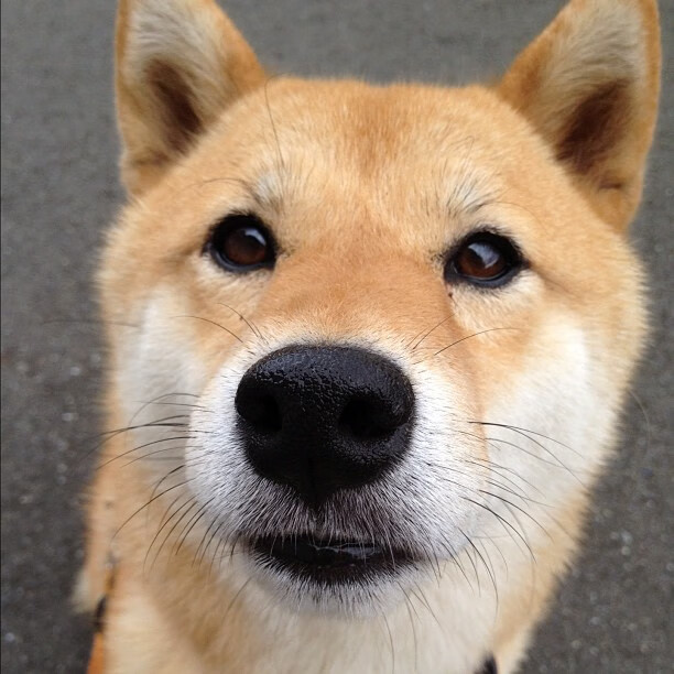 中国男篮强化一对一防守巩固外线强度,中国男篮对阵