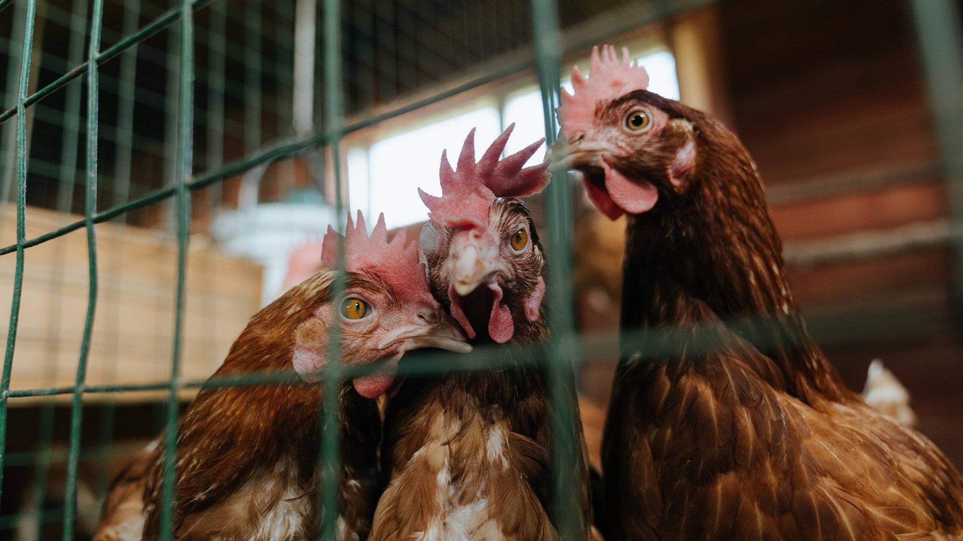 爱游戏体育在线-中国青年队迎战国际热身赛 战术调整成看点，中国青年队最好成绩