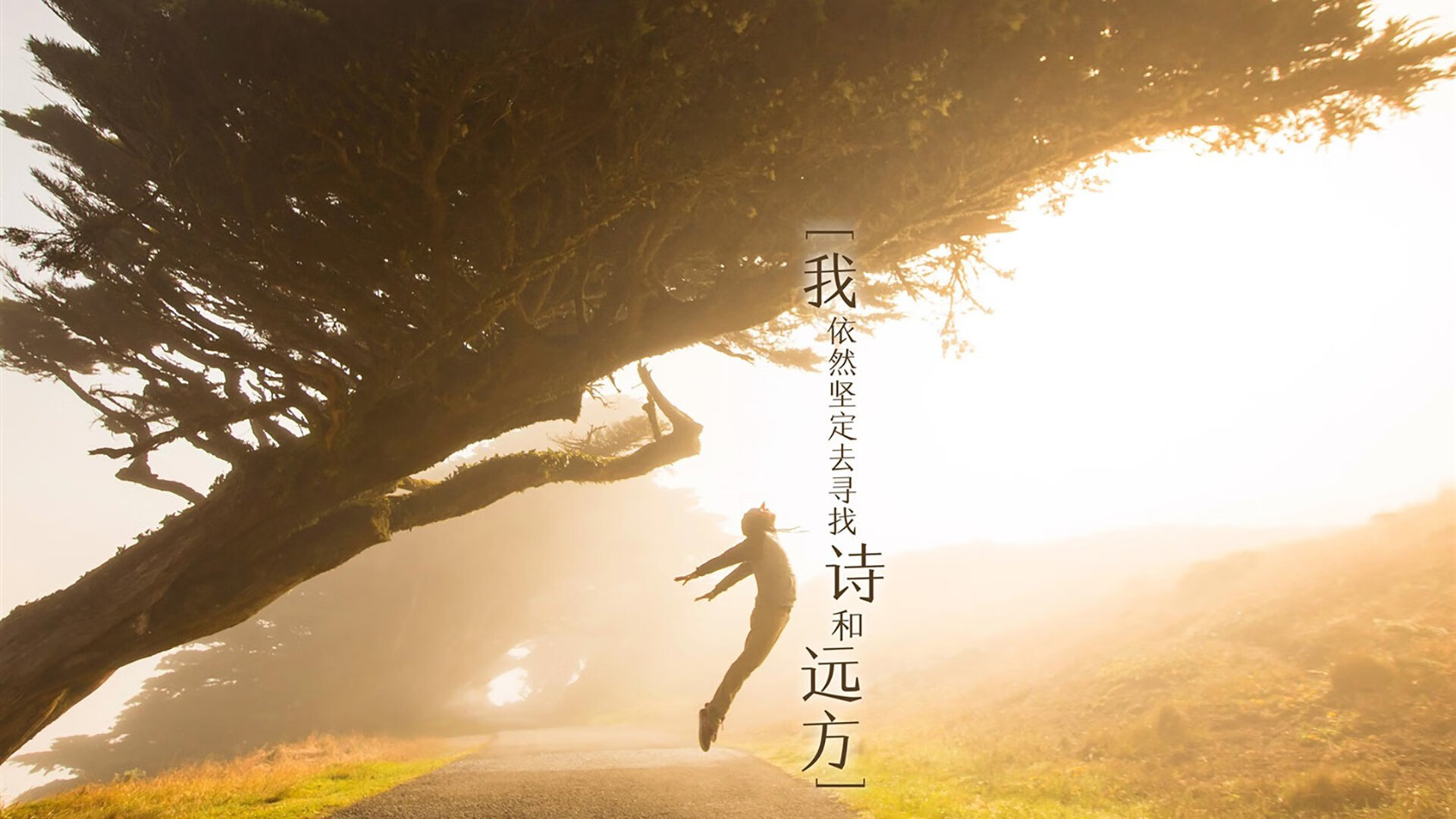 全运会主视觉方案公开征集反响热烈，视频全运会