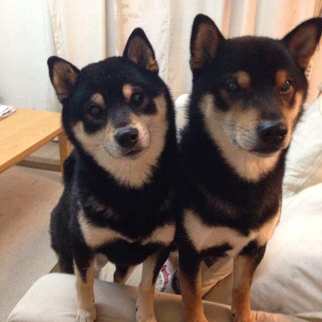 全运会主视觉方案公开征集反响热烈，视频全运会