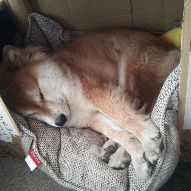 爱游戏官网app-刘国梁谈中国乒乓未来发展战略，刘国梁_要推动乒乓球成为世界影响力最大项