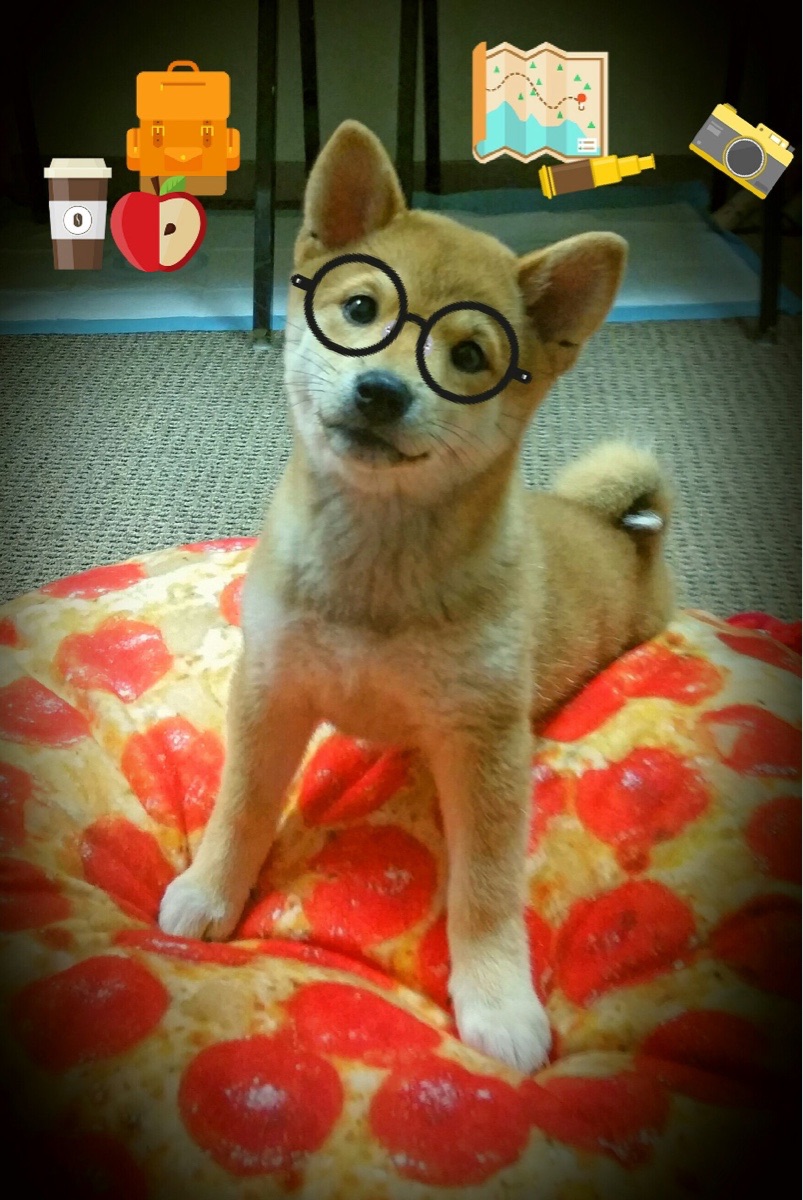 慢节奏阵容是否更依赖定位球和低位进攻,慢节奏类型的是