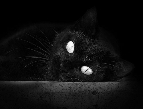 爱游戏ayx-球员职业生涯后期是否更适合参与杯赛淘汰制，球员worthy