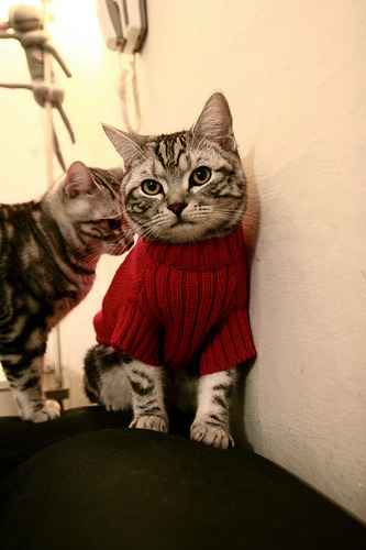 爱游戏app-高节奏比赛是否更容易出现大比分差，节奏高手