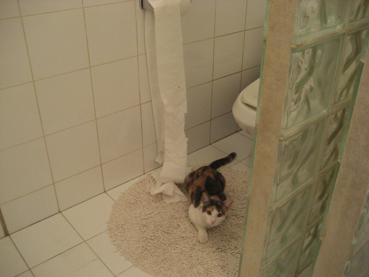 中国足球俱乐部青训体系深化改革，中国足球青训俱乐部排名