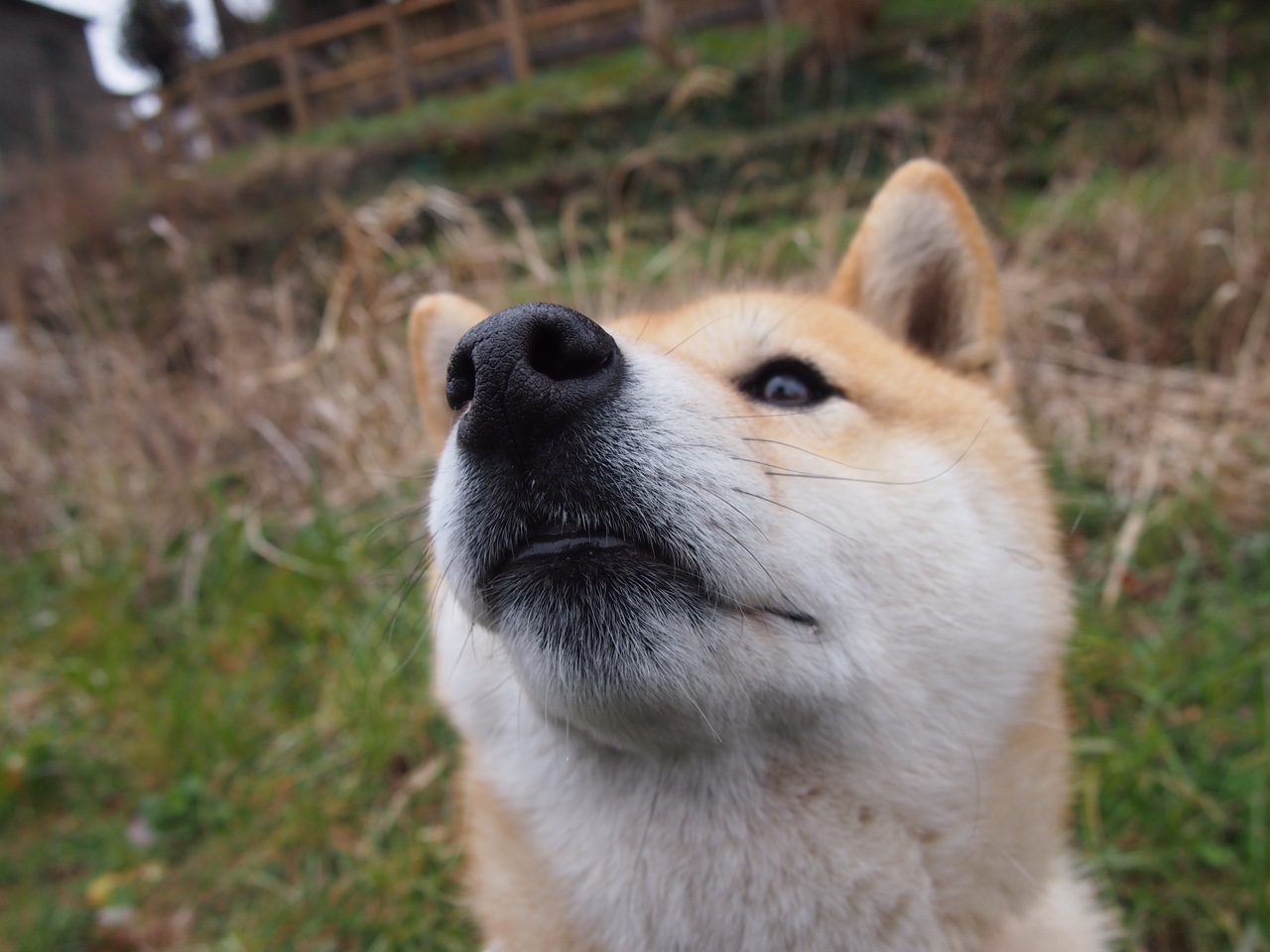 爱游戏app安装-中国足球青训教练员培训项目增设实战课程，中国足球青训人才