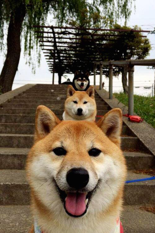 爱游戏ayx-乌拉圭女篮在南美锦标赛中夺冠，展示持续的发展动力，乌拉圭蓝球