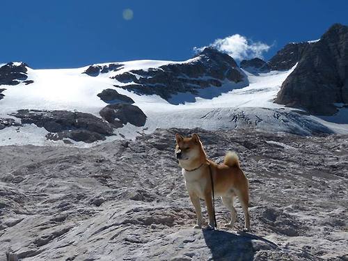 俱乐部宣布升级球队青训体系，注重系统培养，俱乐部青训条件