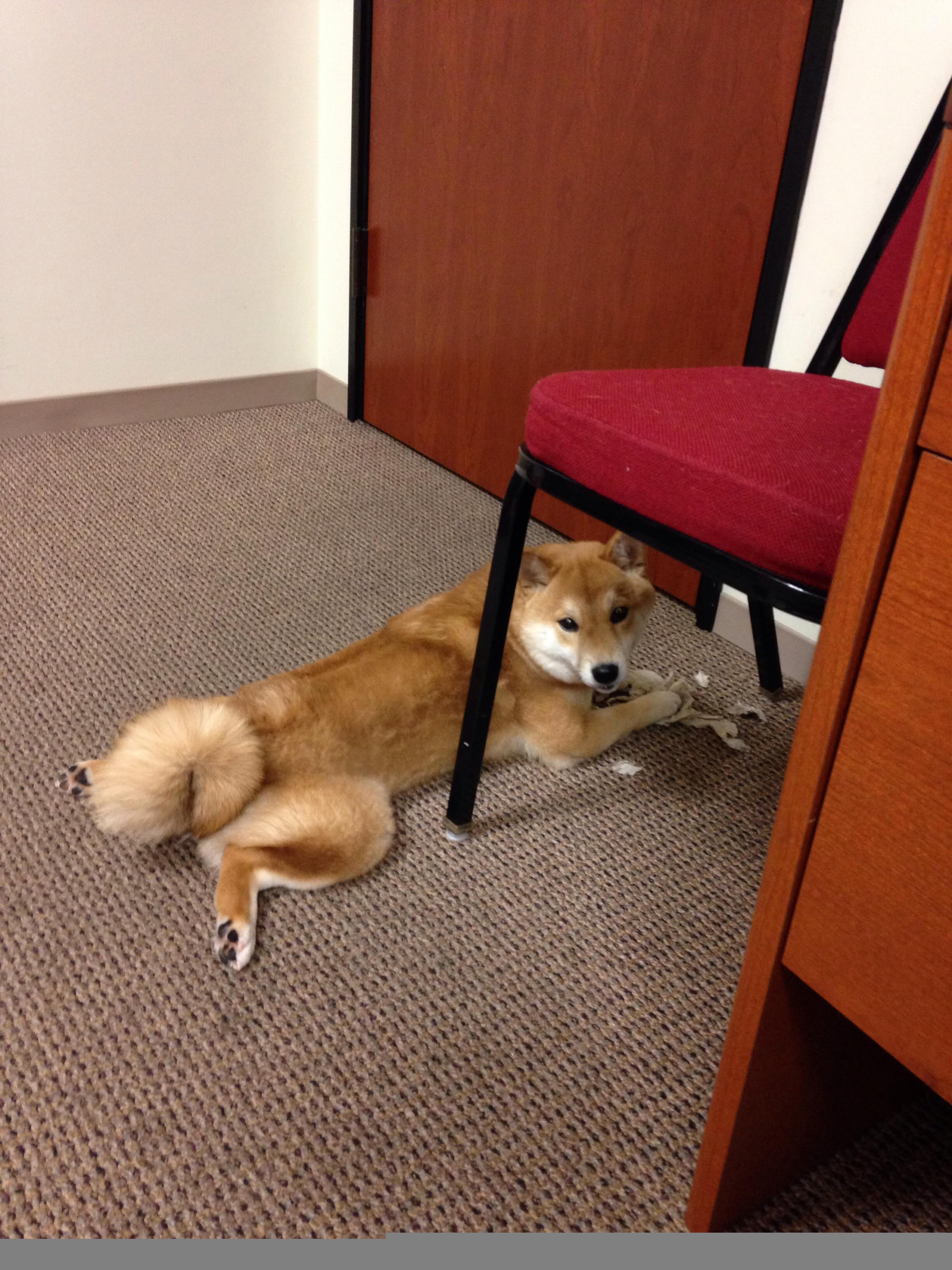 欧洲杯逆转王:战术调整逆转命运!,欧洲杯回传失误