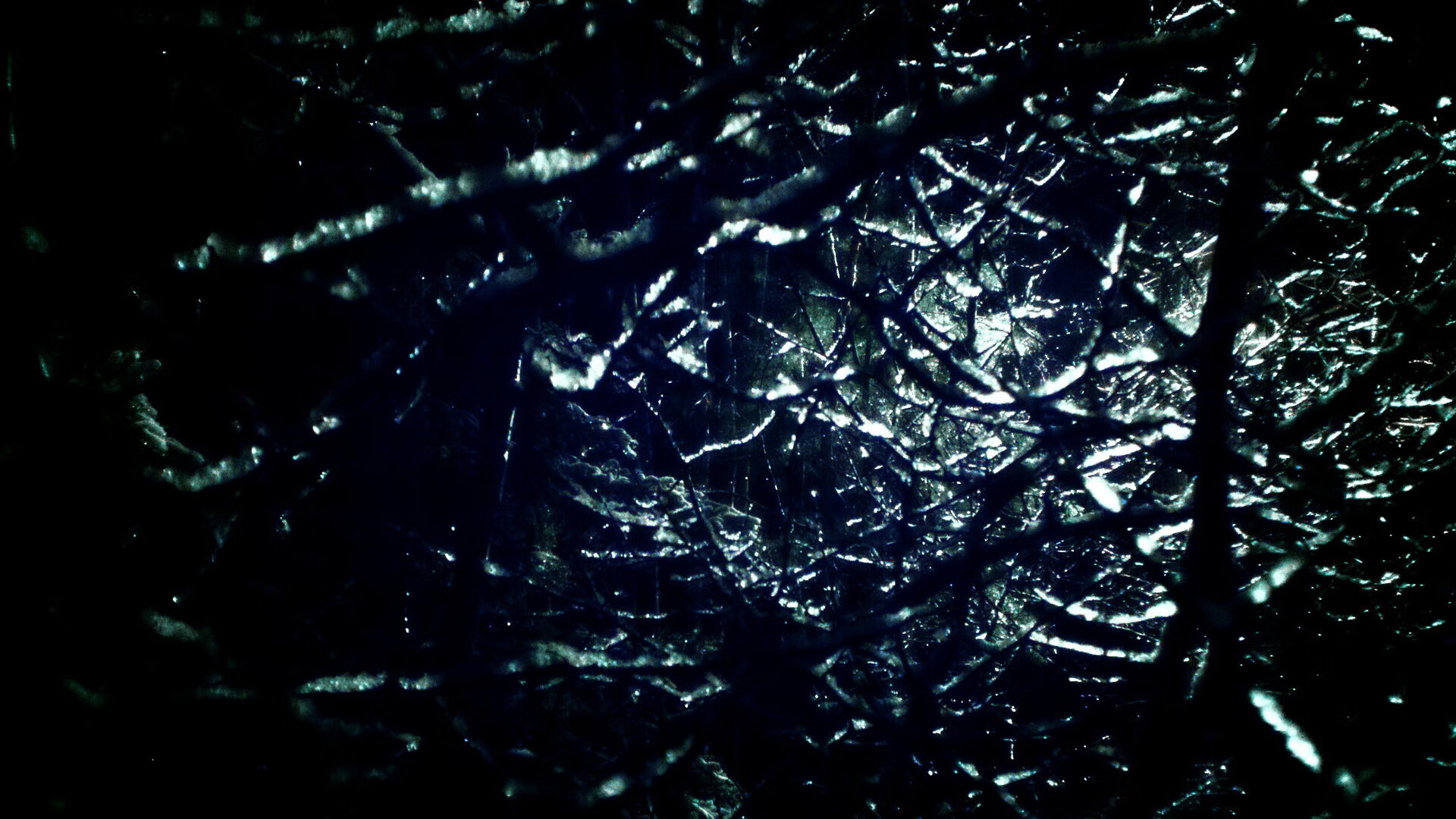 澳洲队决赛表现超出预期，赢得掌声，澳洲队决赛表现超出预期,赢得掌声是什么